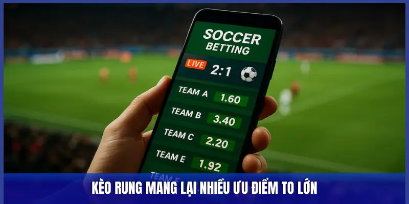 KÈO RUNG MANG LẠI NHIỀU ƯU ĐIỂM TO LỚN